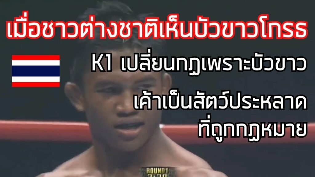 นั่นขาเค้าทำมาจากเหล็กหรอ? เมื่อชาวต่างชาติเห็นบัวขาวโกรธ